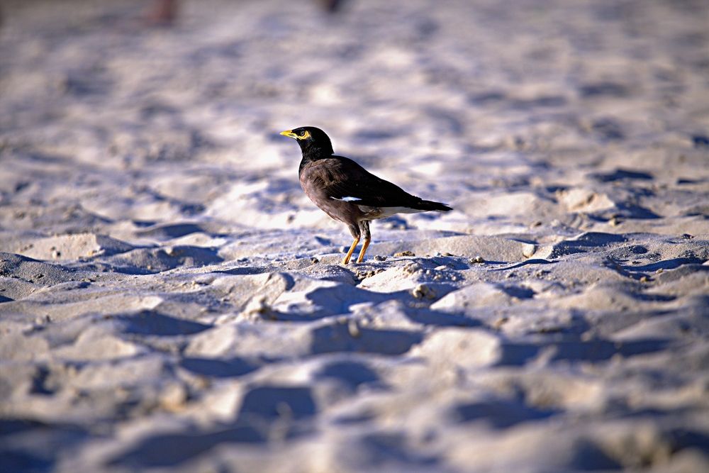 Photograph by Сергей Рапопорт