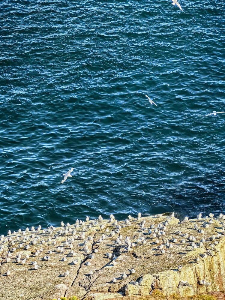 Photograph by Наталья Асоскова