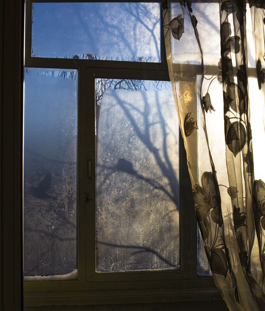 Фотография автора Елена Разина