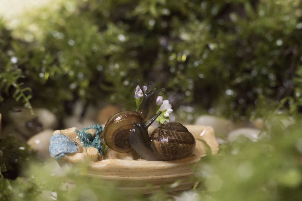 лодка на двоих