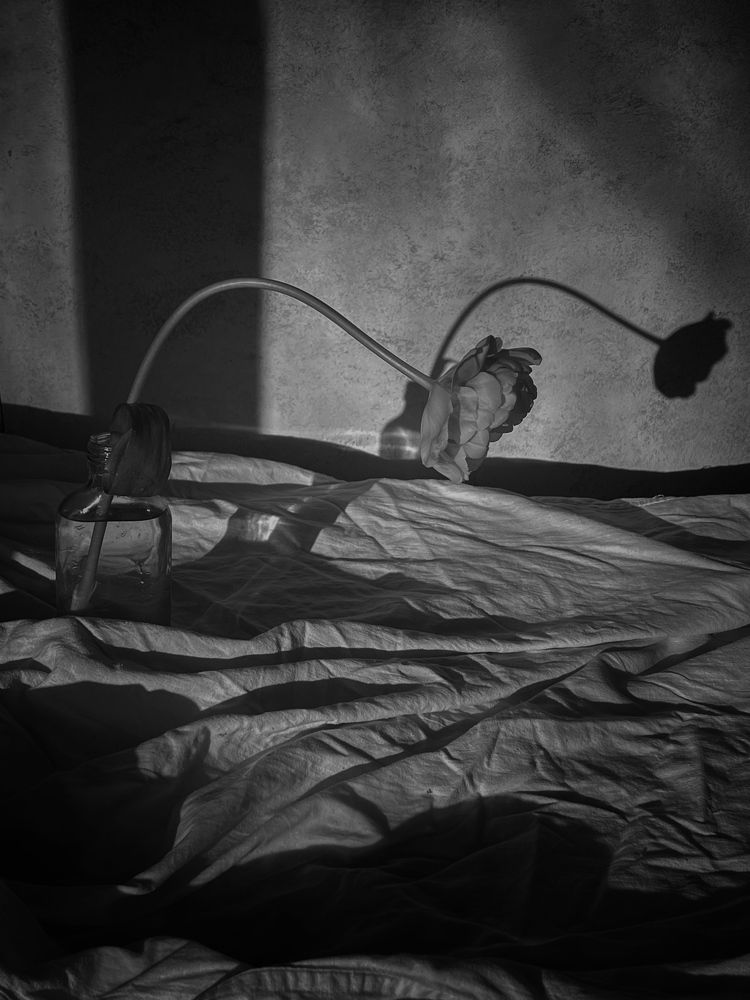 Photograph by Олена Уманцева