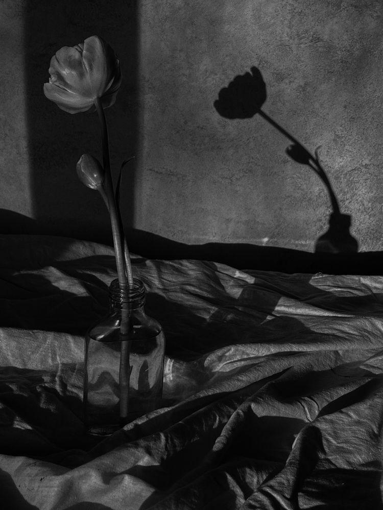 Photograph by Олена Уманцева