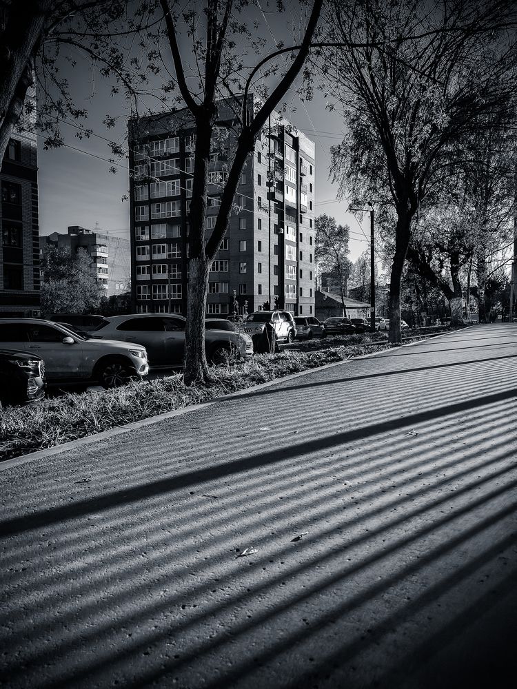 Photograph by Максим Кутсар