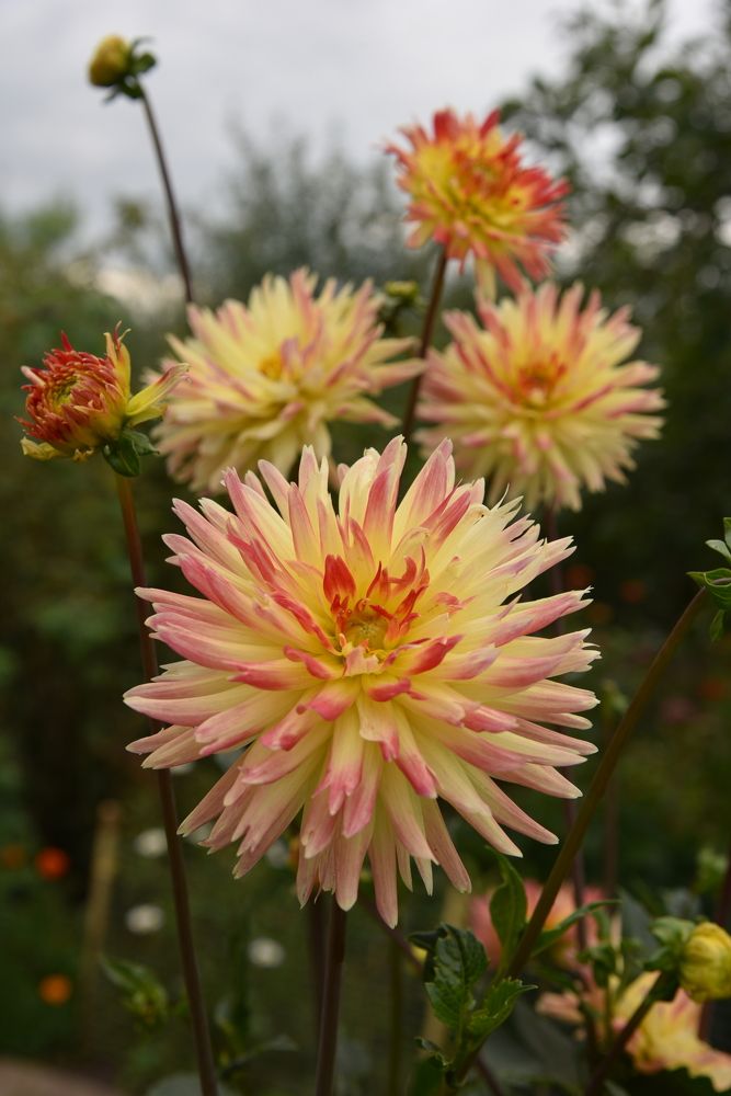 Photograph by Андрей Митькин