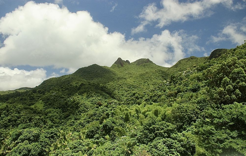 Фотография автора Jose Otero