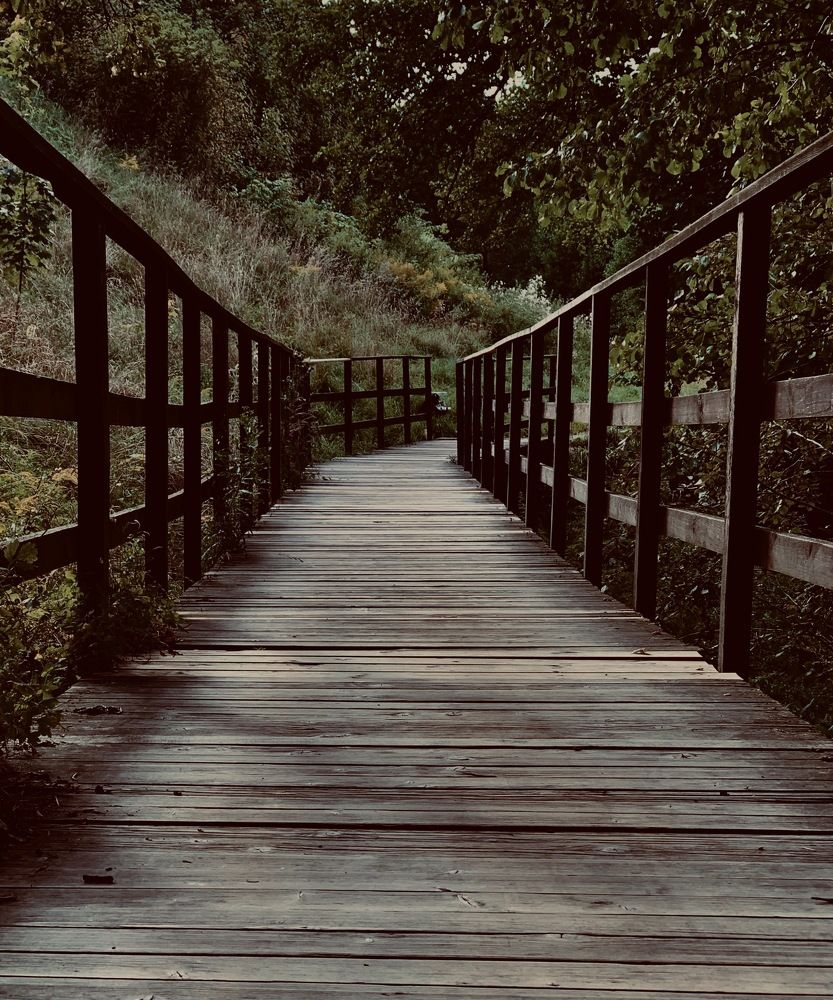 Photograph by Kate Abi Faraj