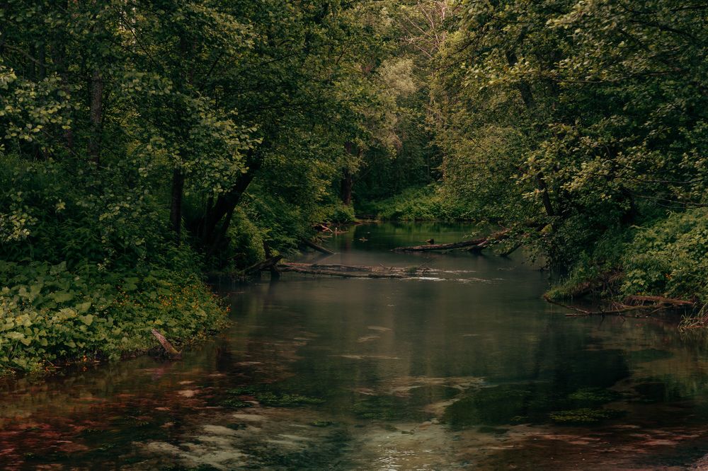 Фотография автора Сагдиева Эльвира