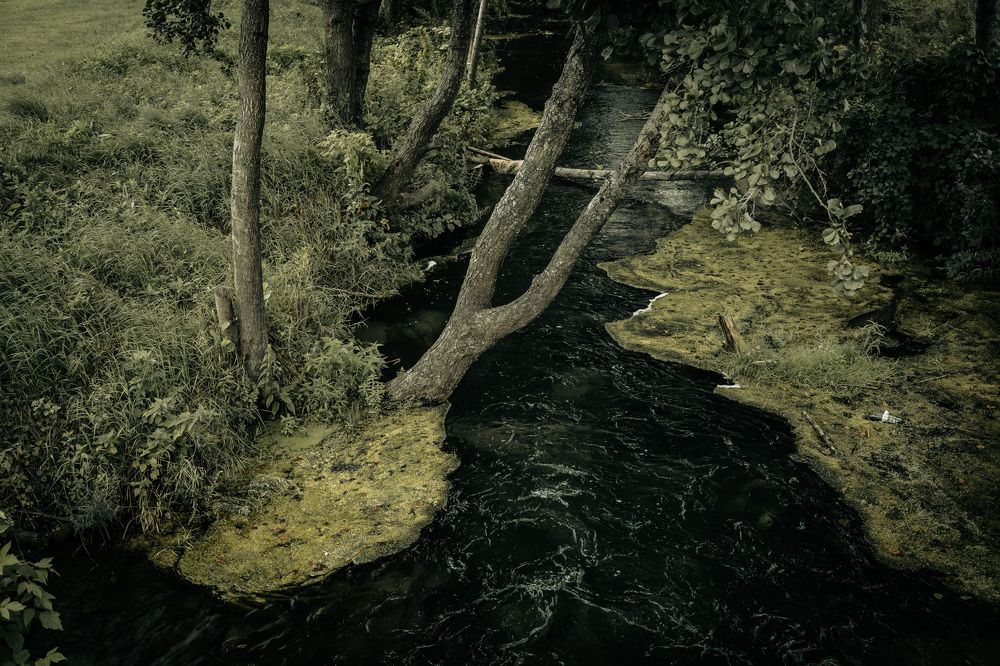 Photograph by Сагдиева Эльвира