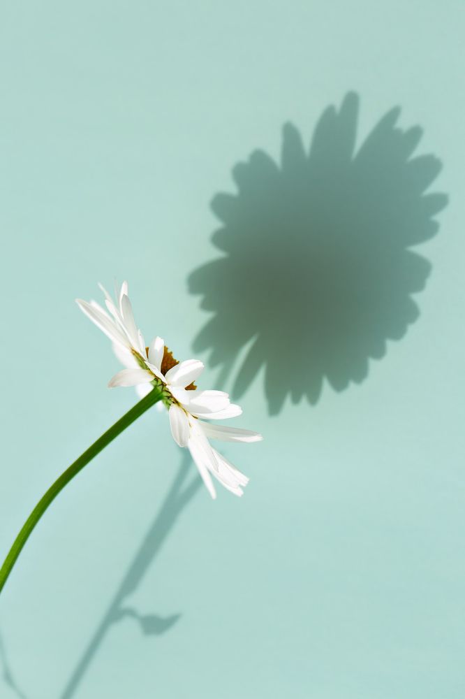 Photograph by Наталья Матюхина