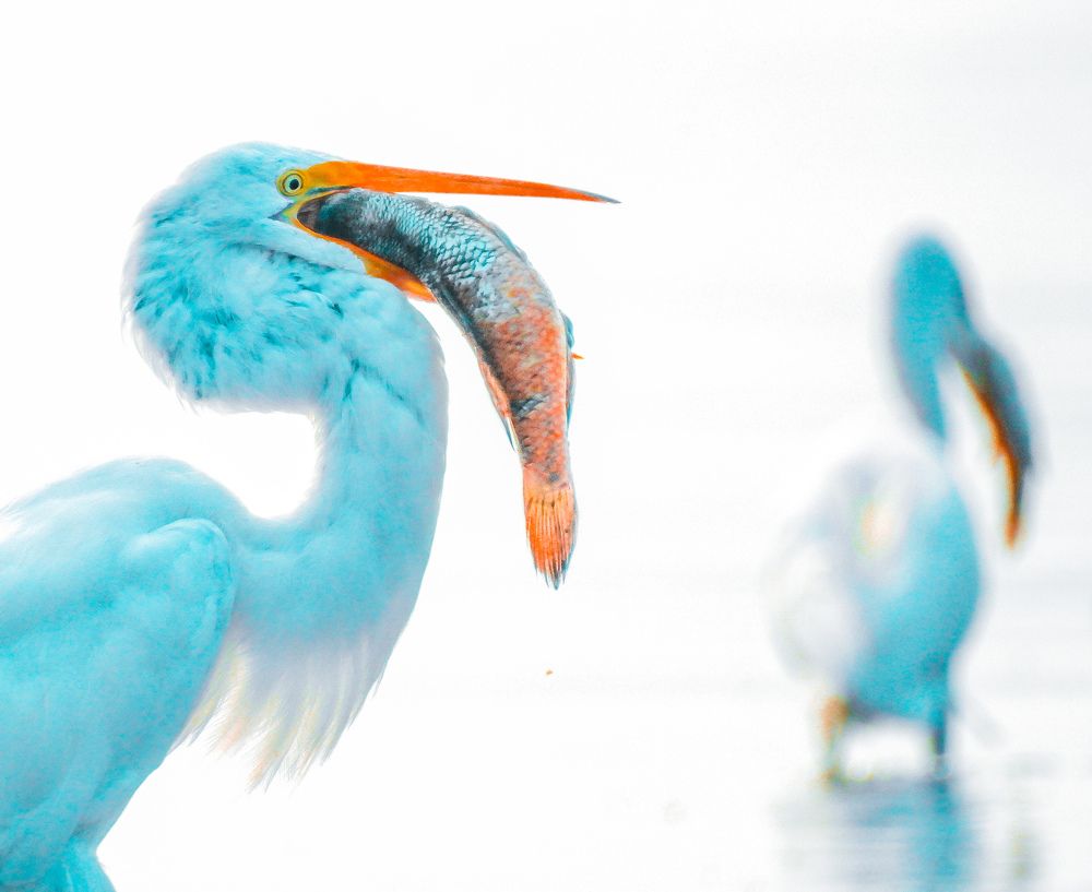 Фотография автора fabio chiari