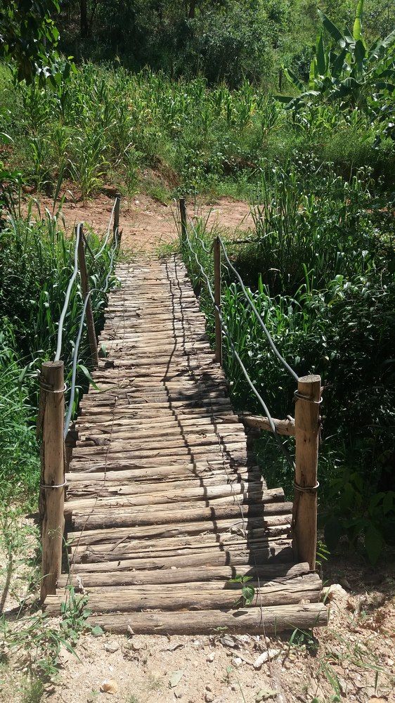 Ponte de madeira