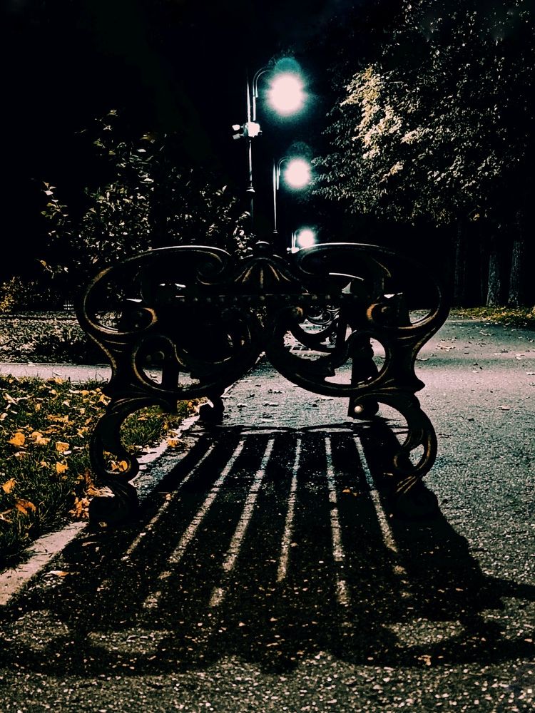 Вечер в парке