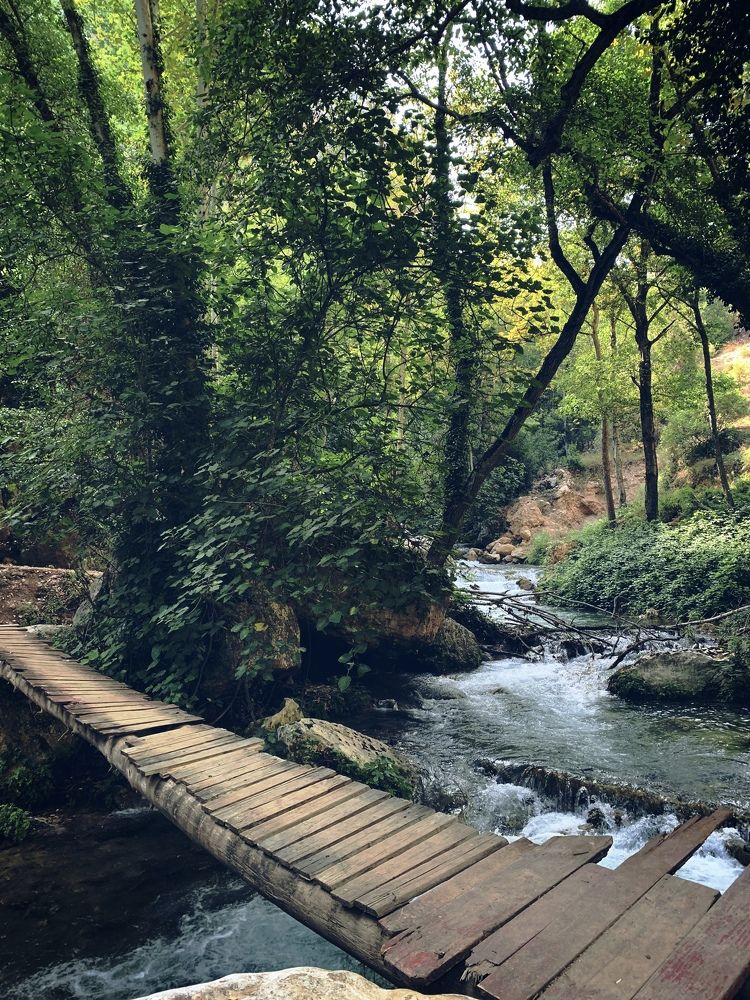 Мост через лесной ручей