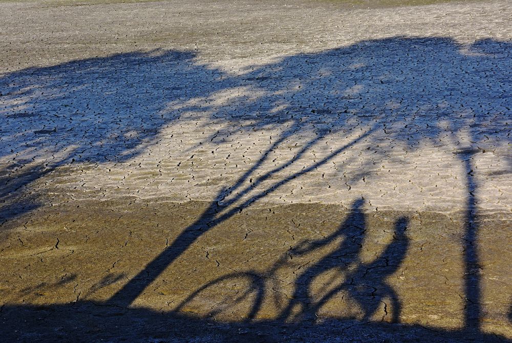 Photograph by CHINMOY BISWAS