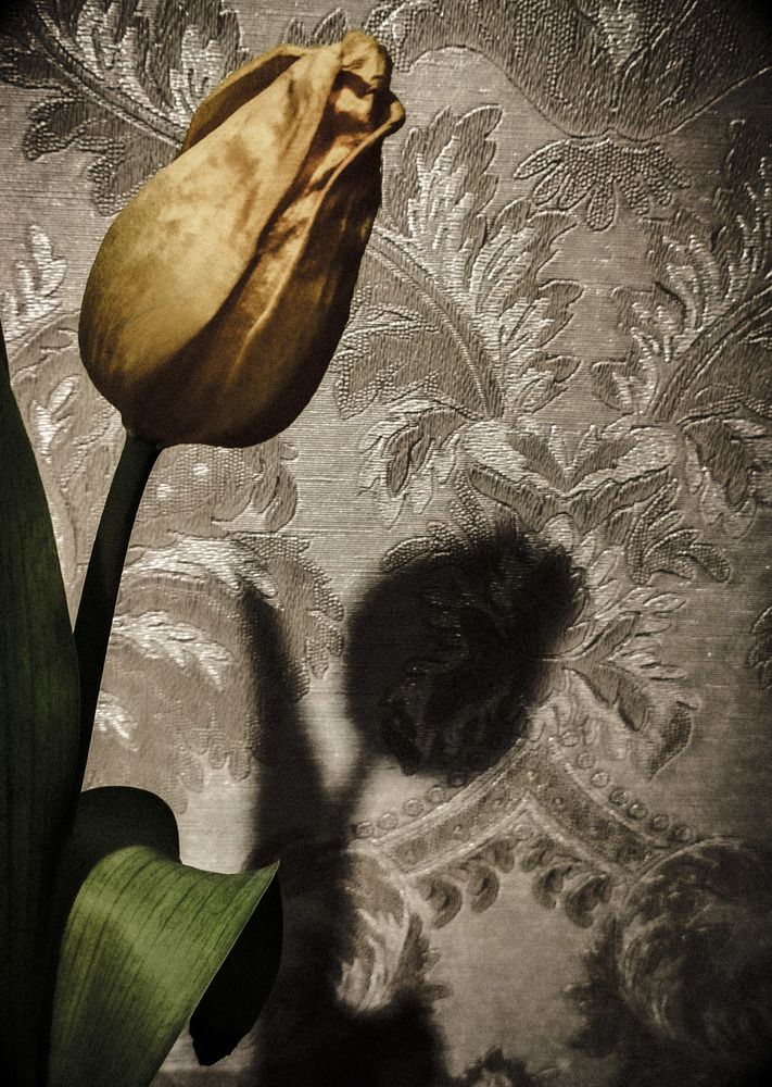 Photograph by Анна Андреевна