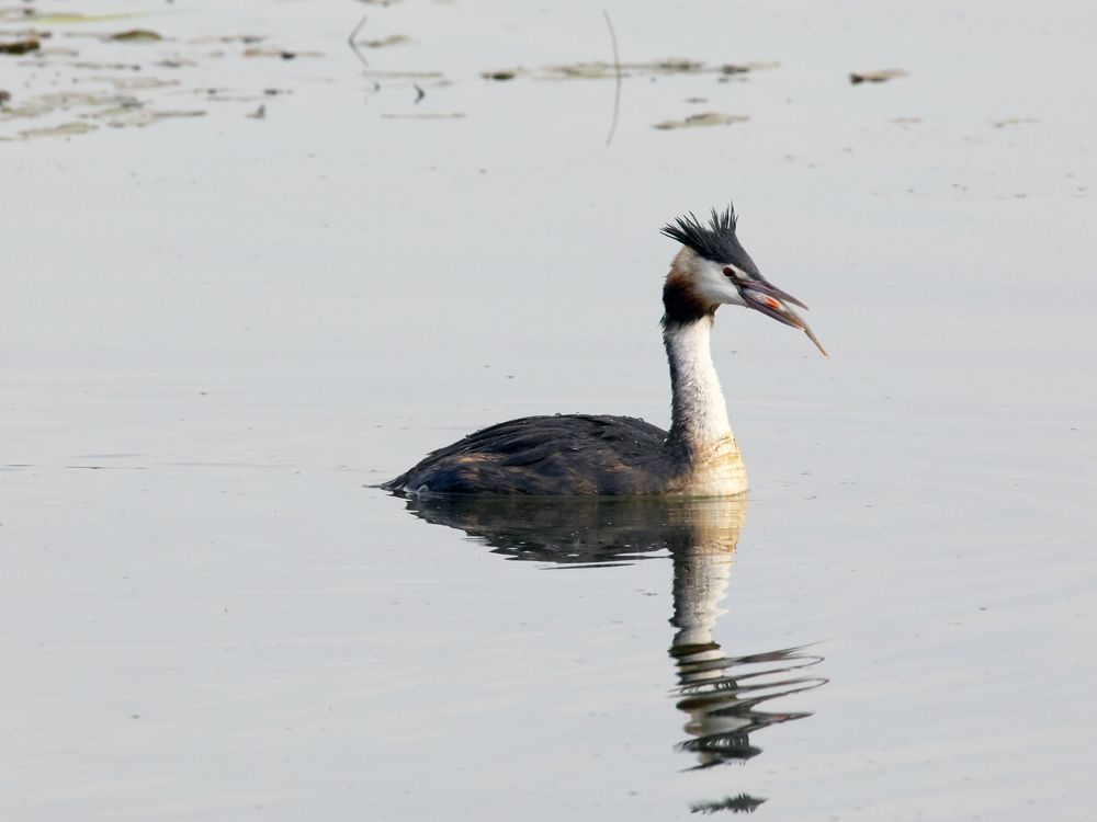 Фотография автора Владимир Борисов