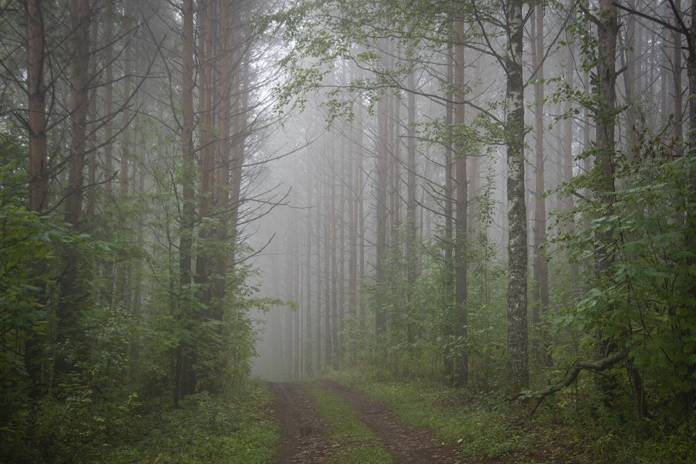 Фотография автора Злобин Сергей