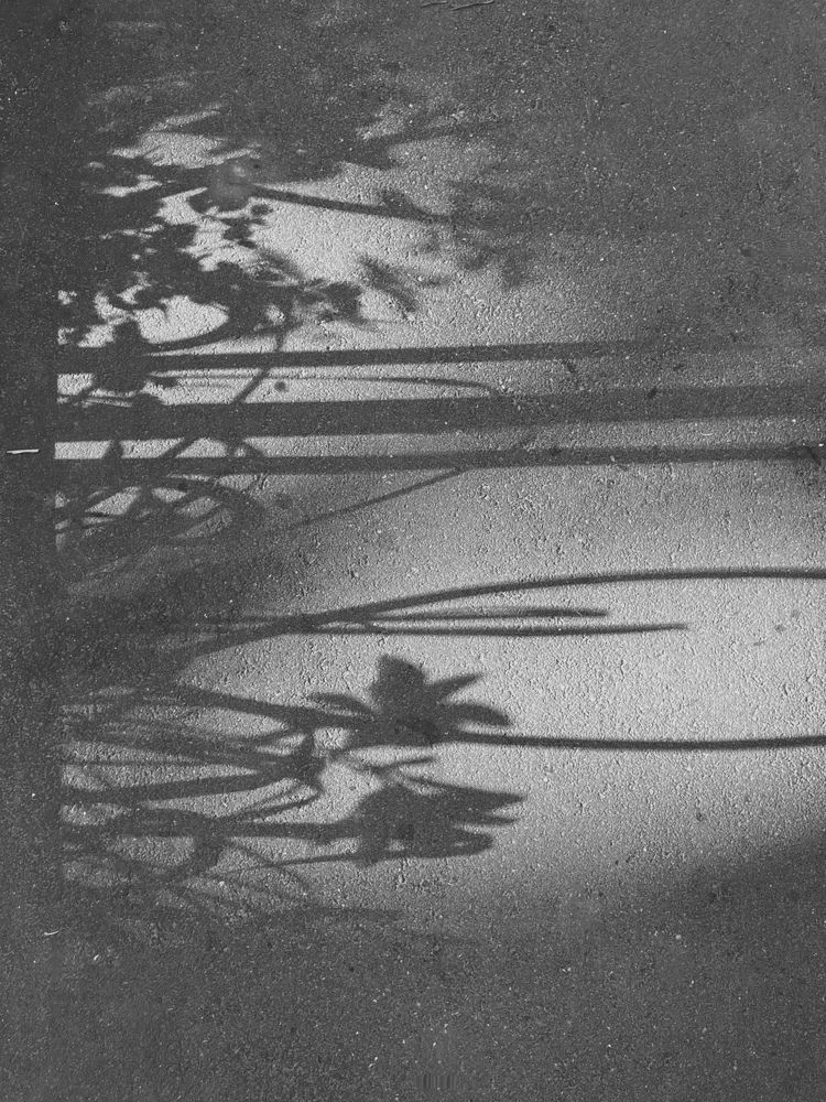Photograph by Мария Байбарина
