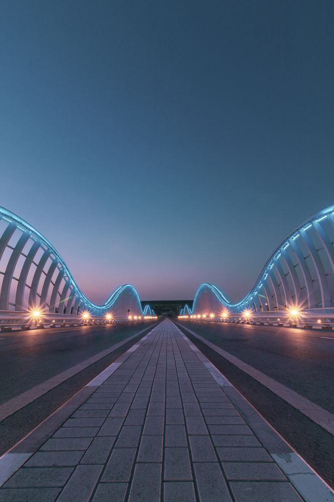 Photograph by Bhupendra Bagla