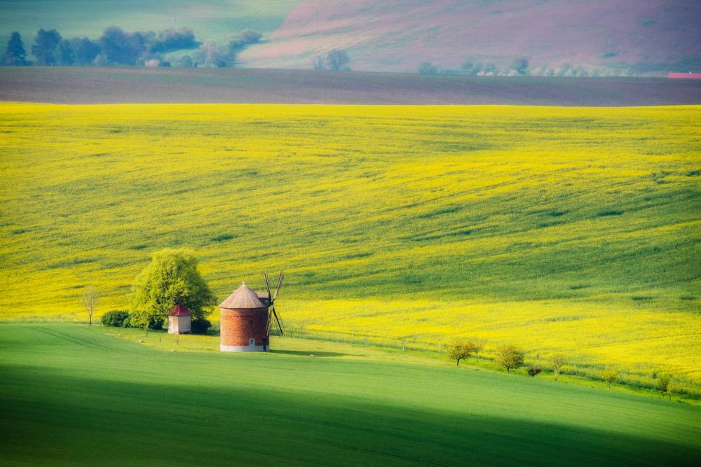 Photograph by Василий Яковлев