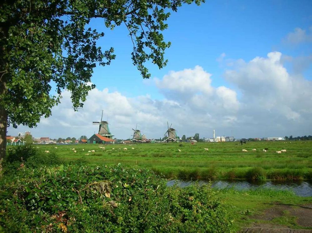 Фотография автора Nieves Gloria Alvarez Diaz