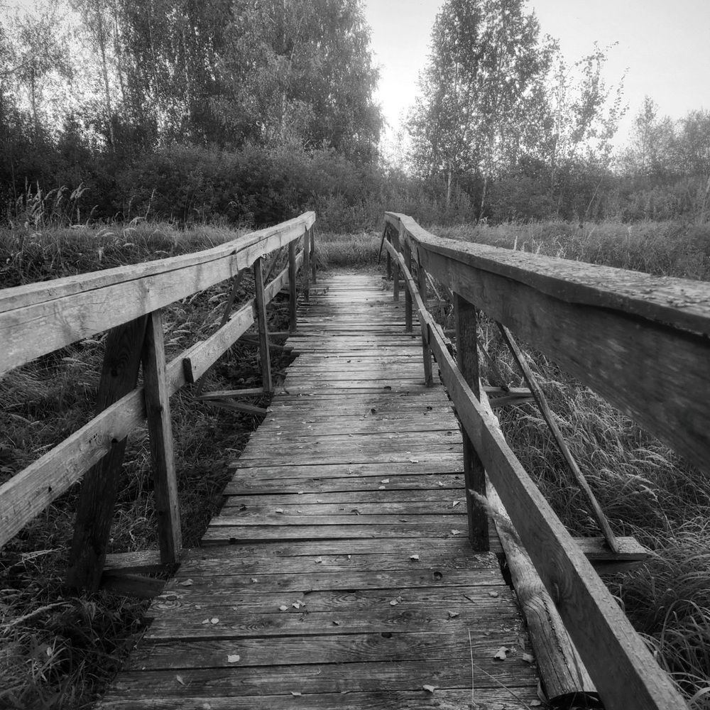 Фотография автора Татьяна