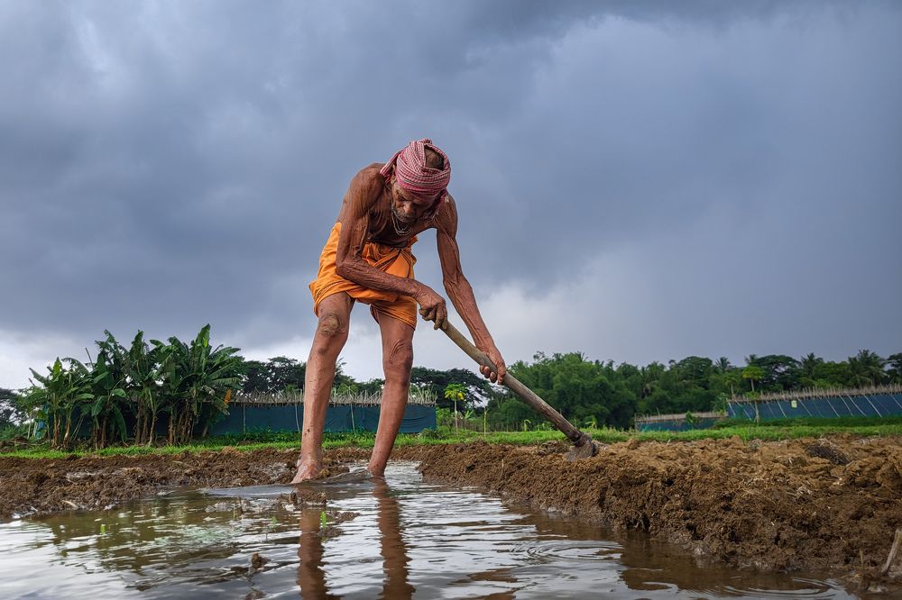 Photograph by Pradyumna Kumar Biswal