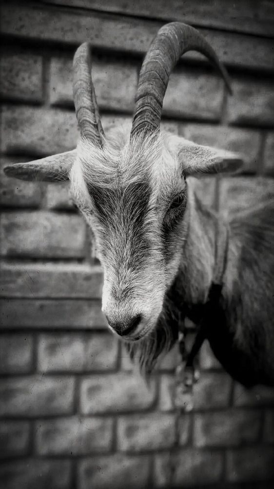 Фотография автора Татьяна