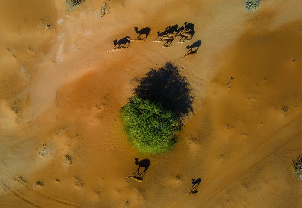 Photograph by Zubair Irshad