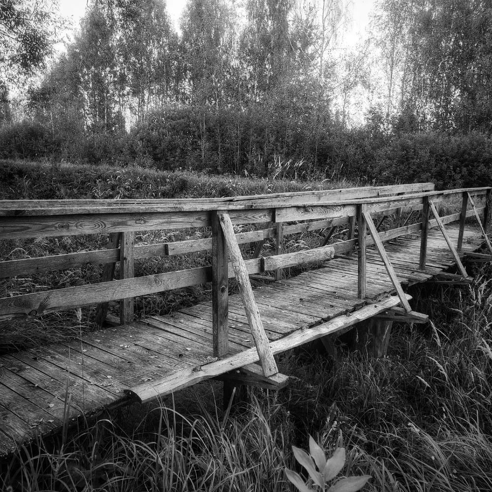 Фотография автора Татьяна