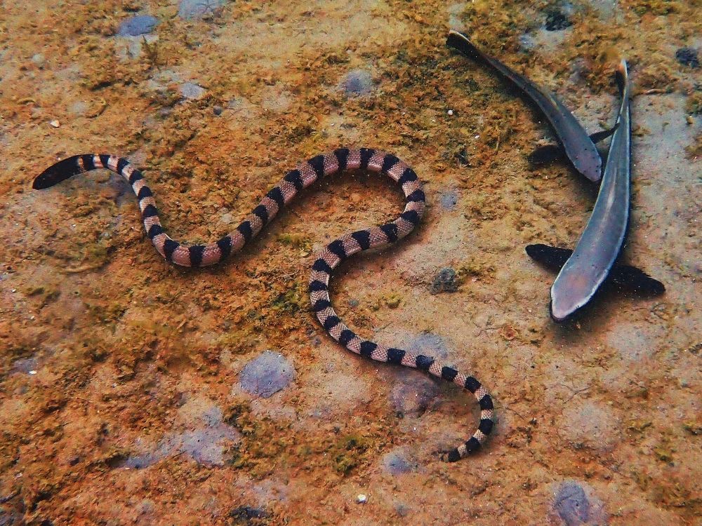 Photograph by Кирилл Леднев