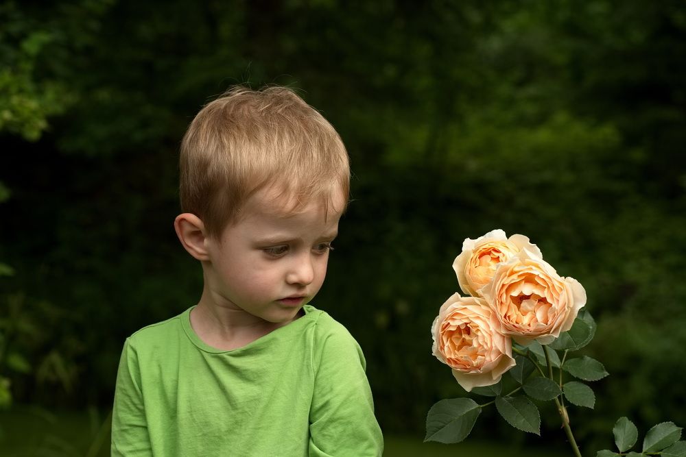 Фотография автора Юрий Кашлевский