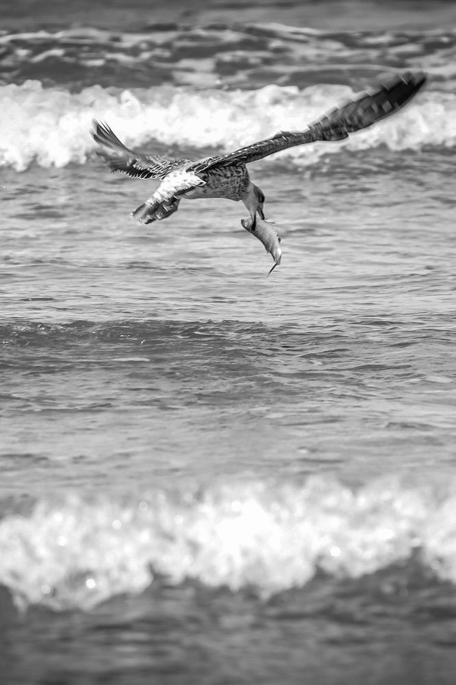 Photograph by Viyaleta Zmitrovich