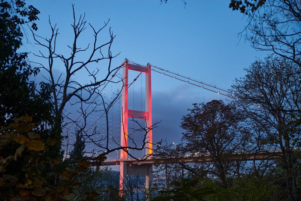 Photograph by Дмитрий Солодухин