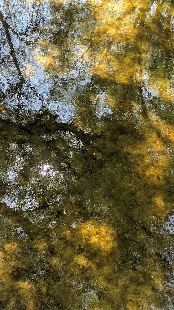 Фотография автора Васильева Ирина