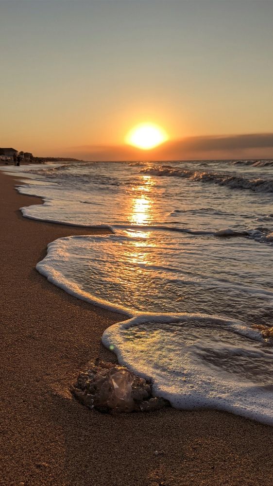 Фотография автора Васильева Ирина