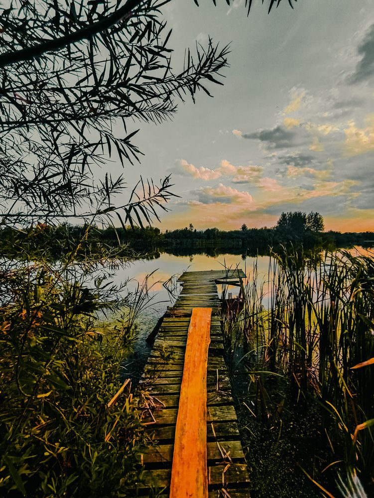 Фотография автора Алиса Исаева