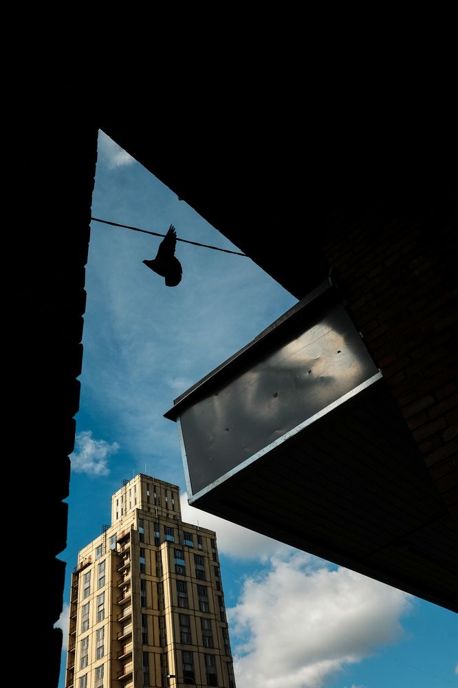 Photograph by Alex Tretyakov