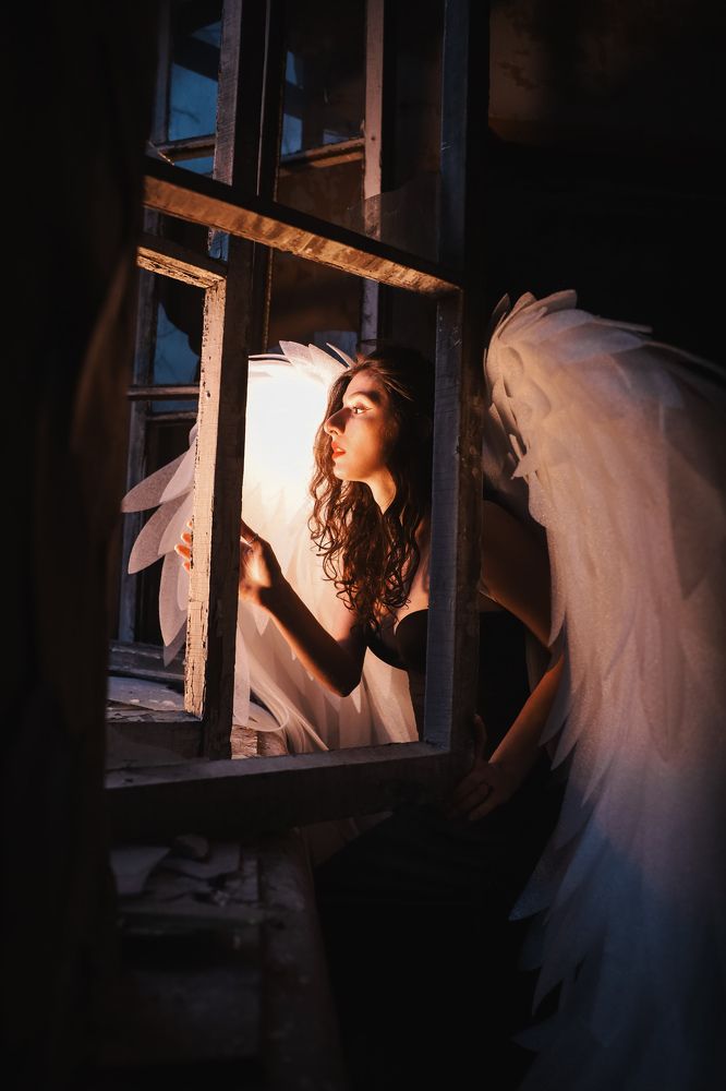 Идущий к свету