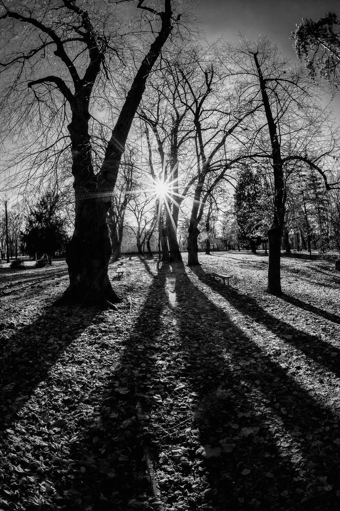 Photograph by Samir Kurtagić