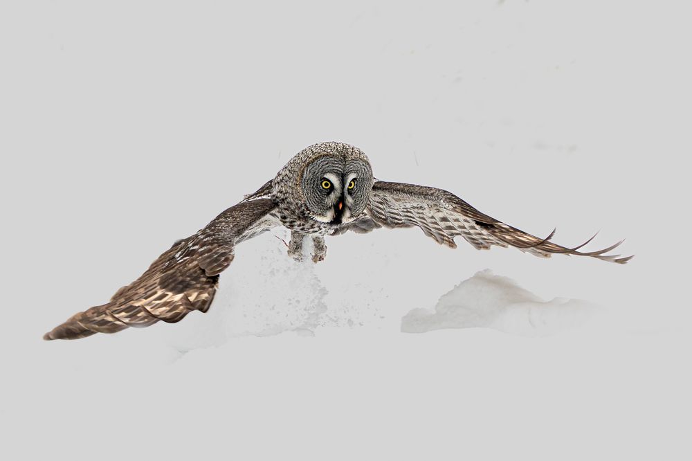 Photograph by Светлана Барабанщикова