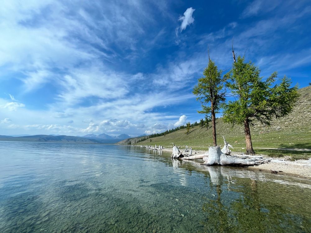 Photograph by Александр Новиков