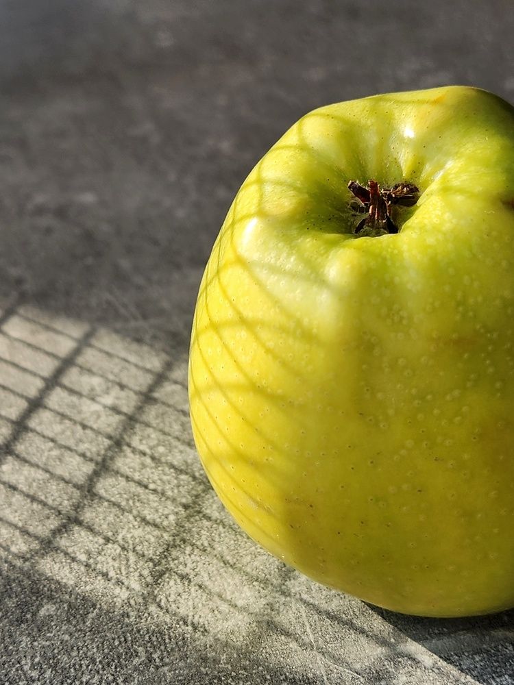 Photograph by Ольга Воронцова