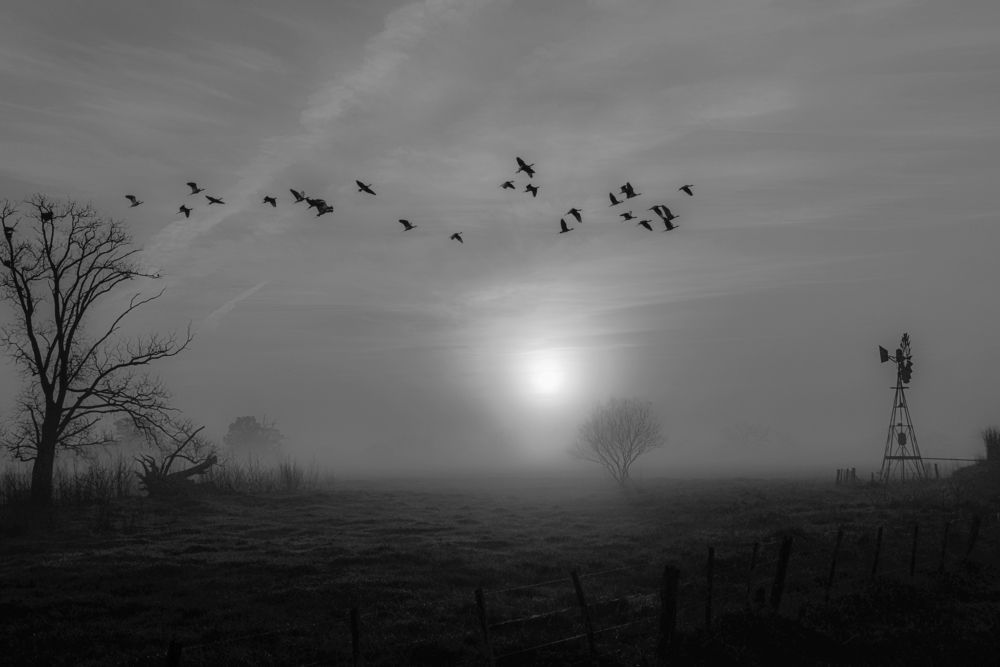 Photograph by Ricardo Kimmich