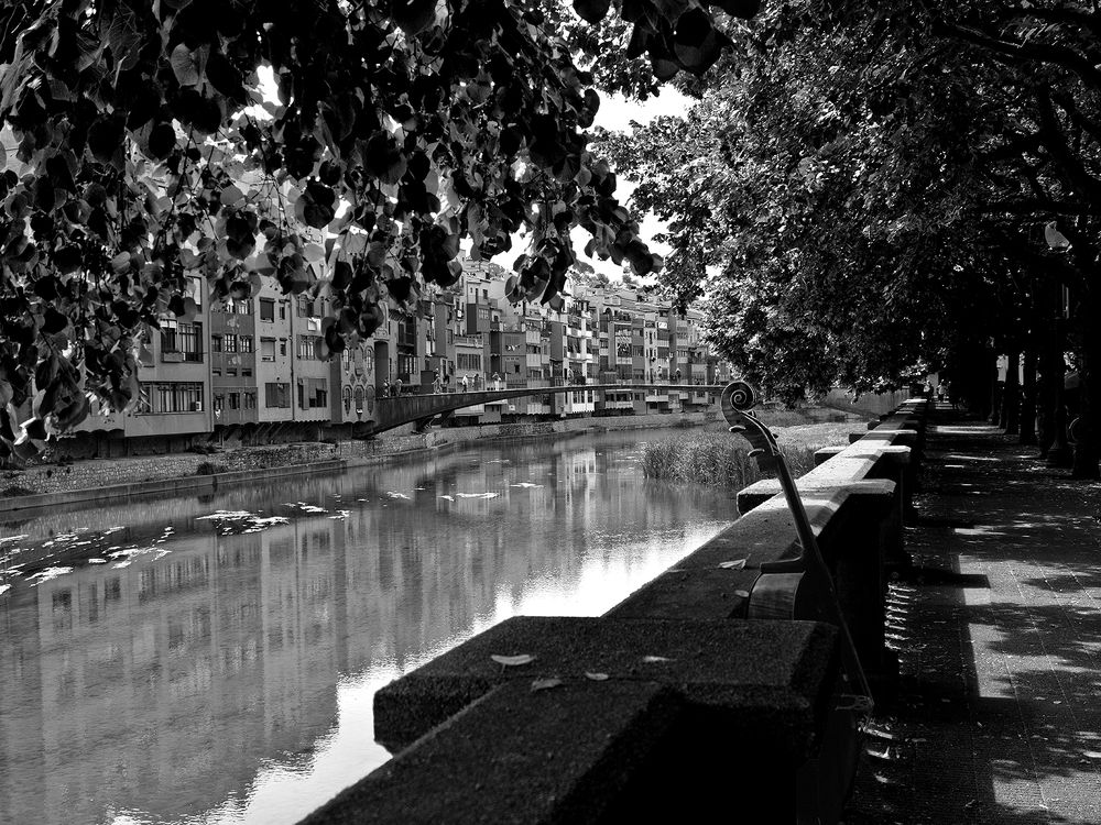 Photograph by Владимир Шишкин