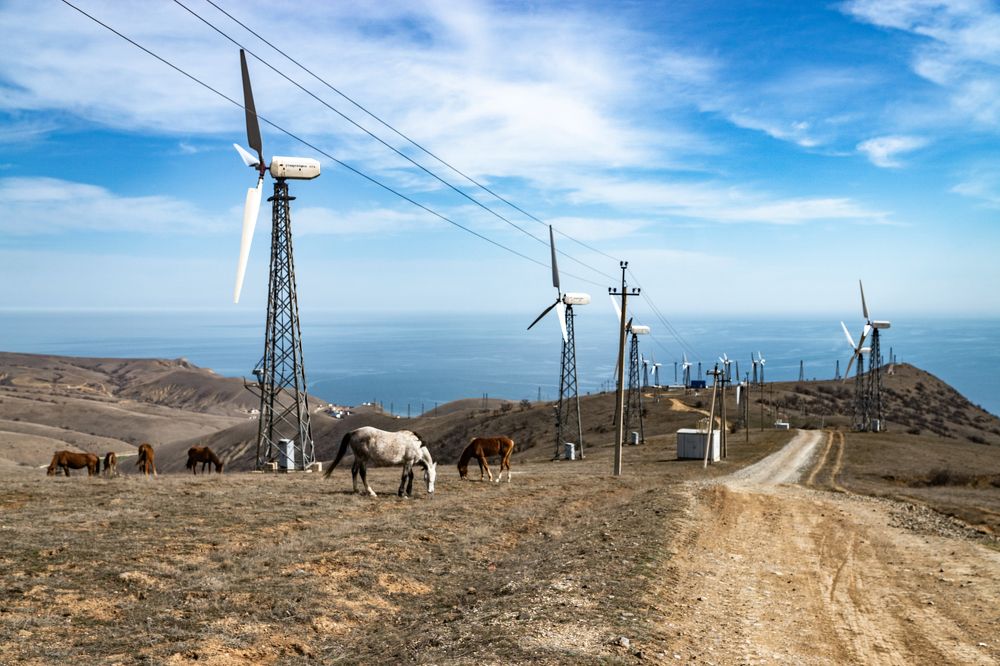 Ветряные мельницы и лошади.