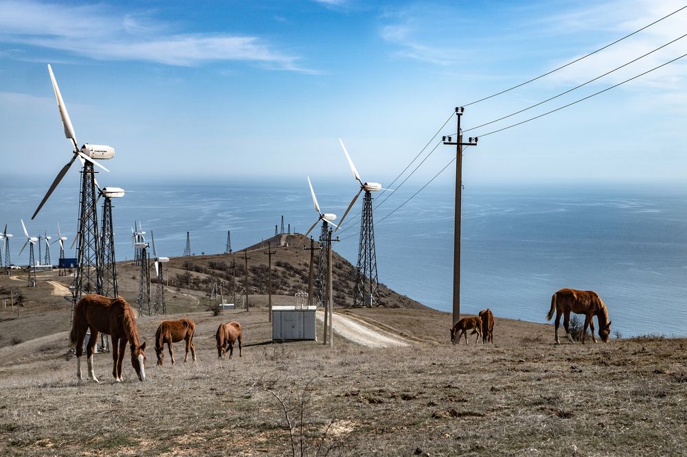Ветряки над морем