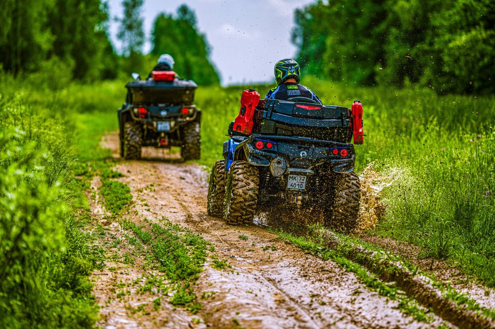 Photograph by Сергей ПЛАТОНОВ