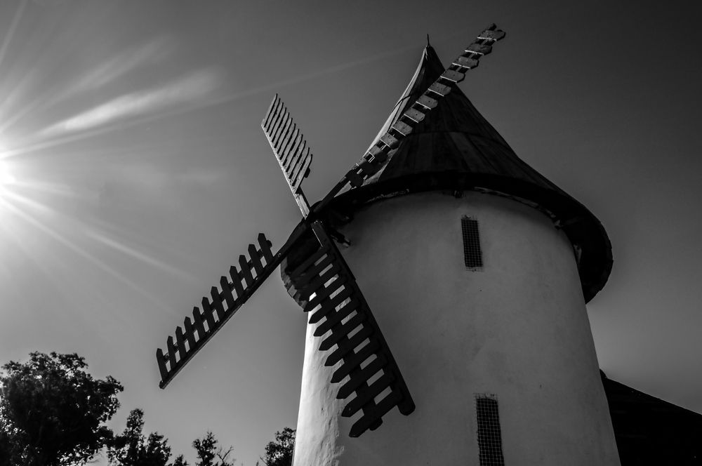 Photograph by Ricardo Kimmich