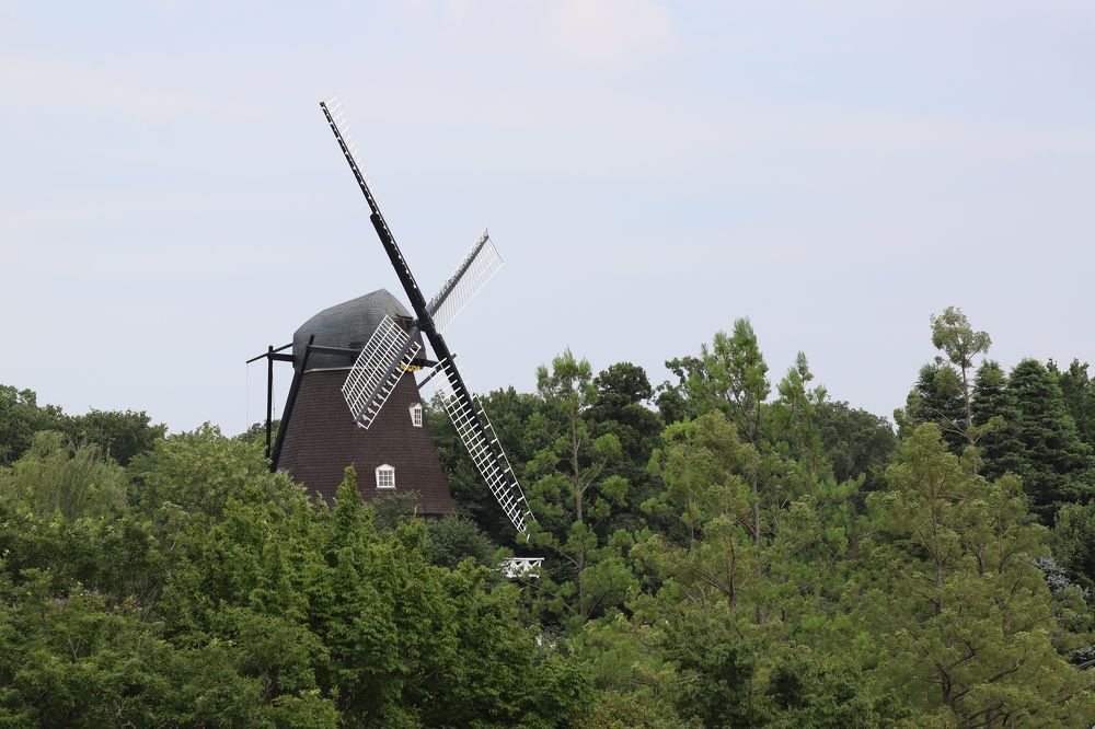 Photograph by Se Lena